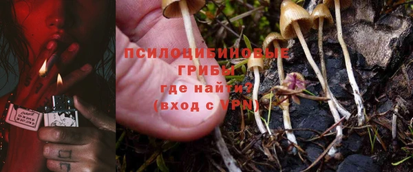 ECSTASY Алексеевка