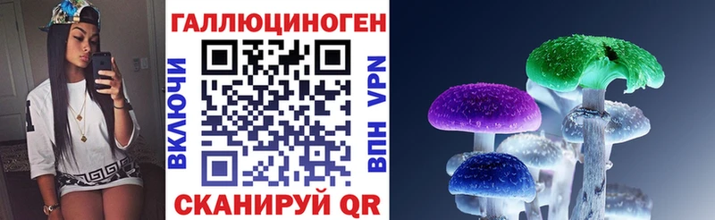 где можно купить   Балашиха  Псилоцибиновые грибы Psilocybine cubensis 