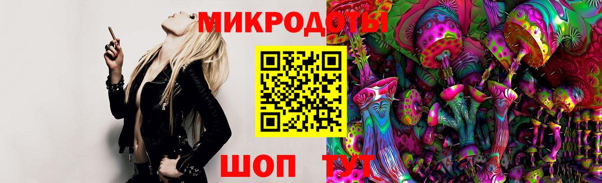 Галлюциногенные грибы Cubensis  Вход с VPN  Балашиха  Псилоцибиновые грибы Psilocybine cubensis 