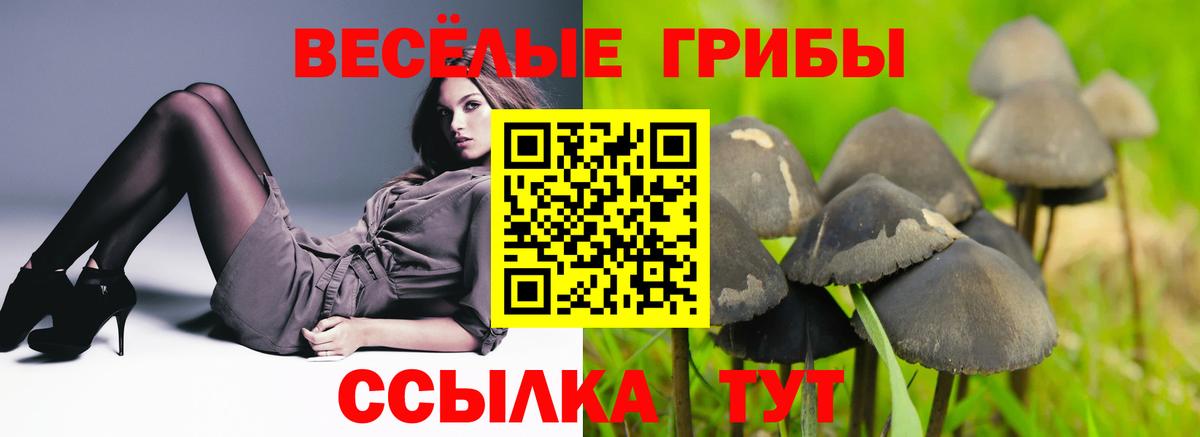 Галлюциногенные грибы мухоморы Балашиха
